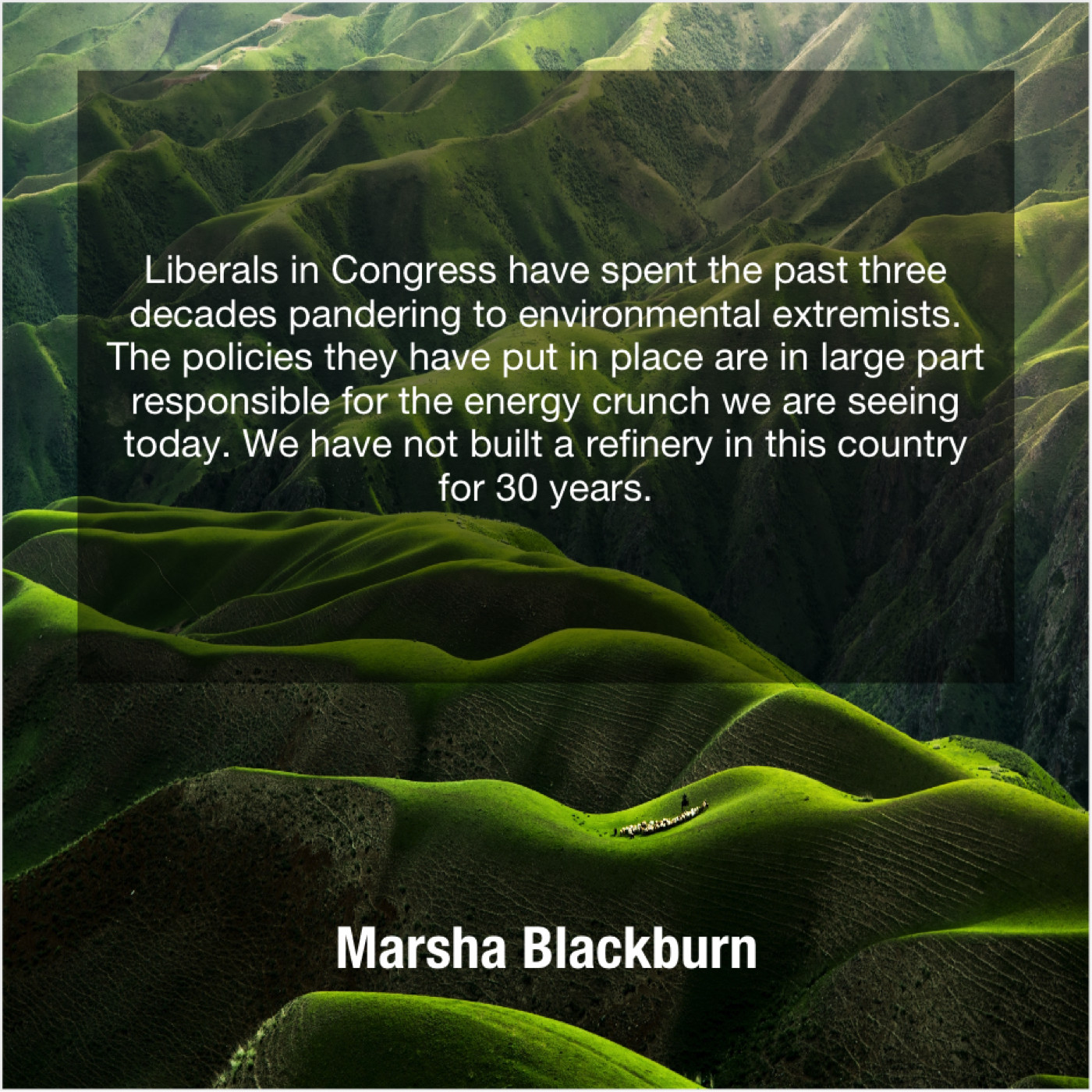 Marsha Blackburn - Liberals in Congress have spent...